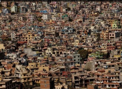 Jungle of Concrete in cities