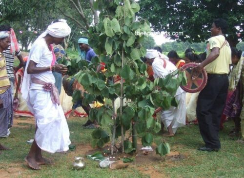 Sarna Pooja