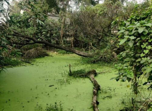 A land covered with water