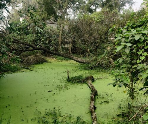 A land covered with water