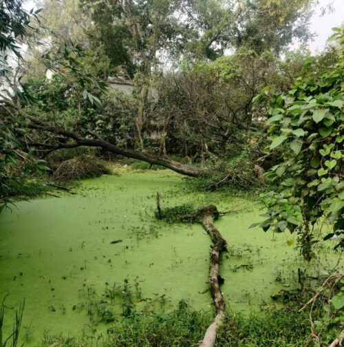 A land covered with water